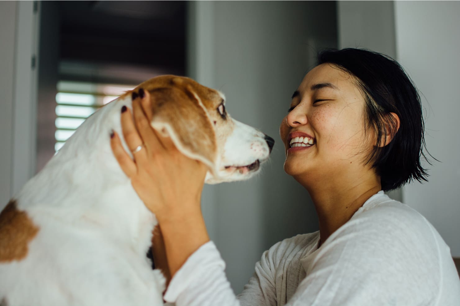 pet services