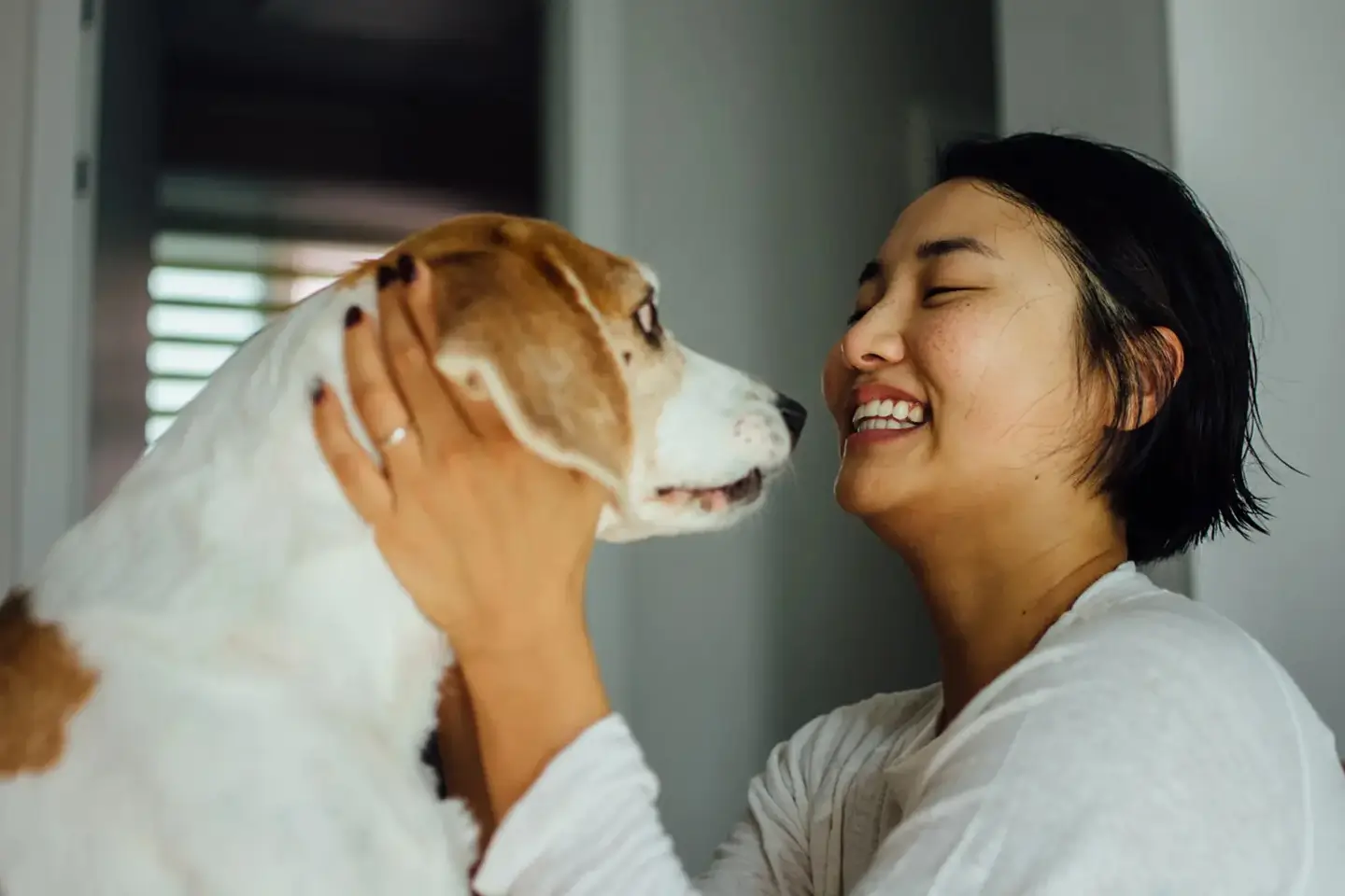 a woman petting a dog